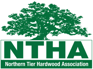 NTHA transparent logo 2019