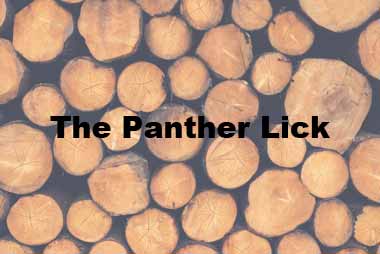 The Panther Lick