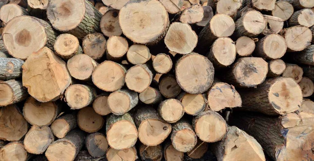 Log ends background