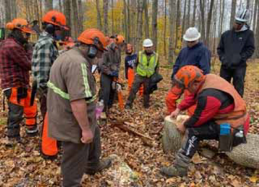 A group of loggers