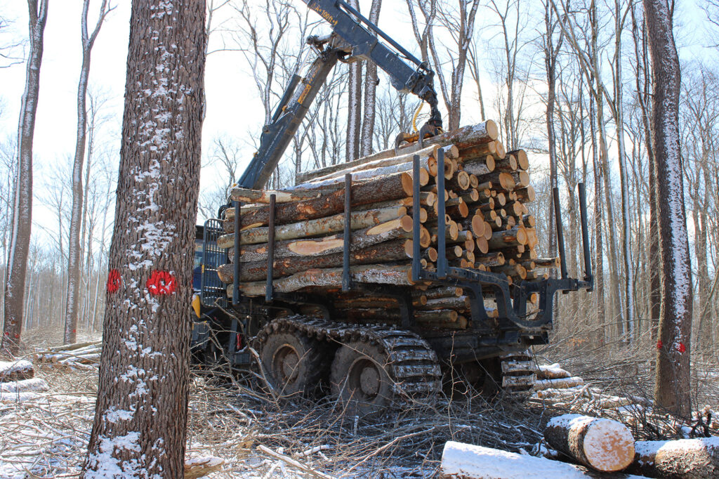A log truck full of logs