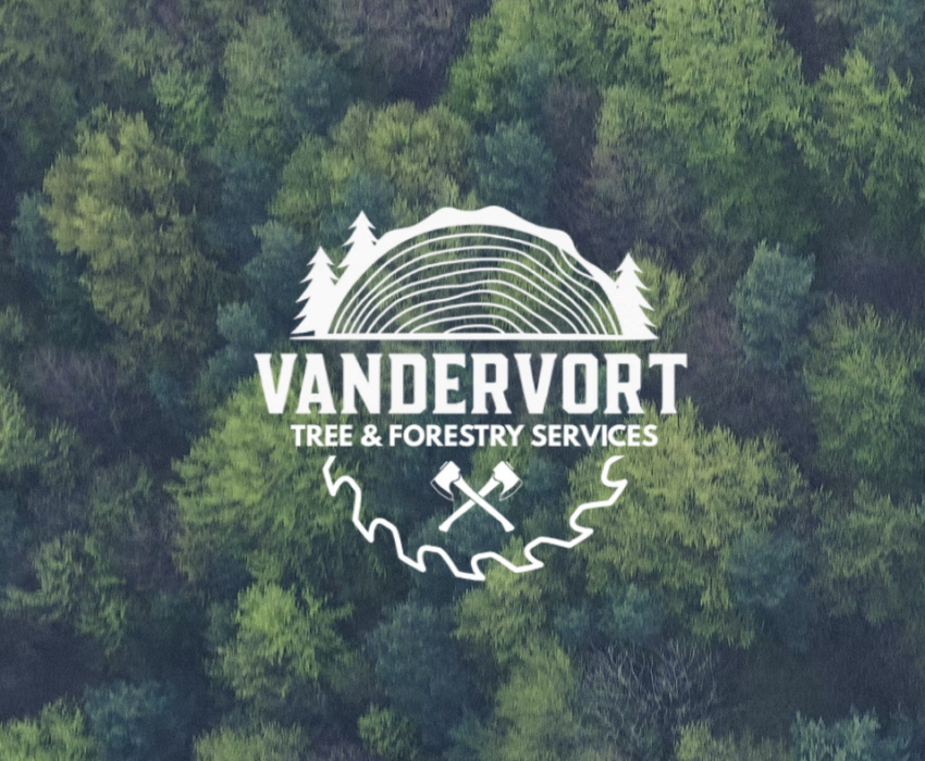 VanDervort Tree and Forestry Services - Northern Tier Hardwood Association