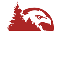 ALC+Logo+White+Letters+No+Background